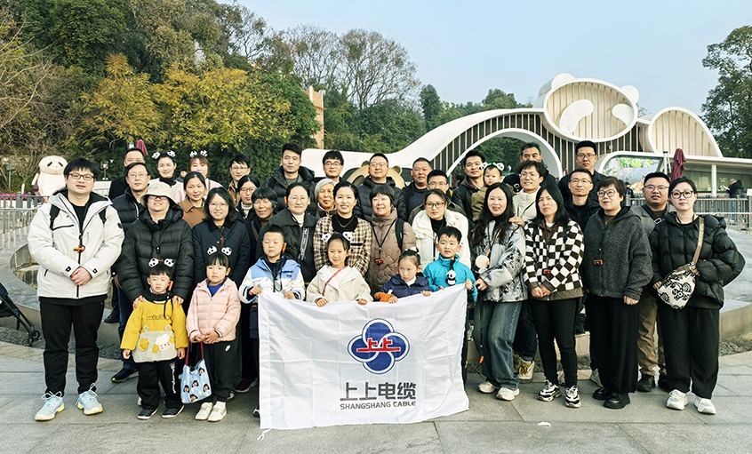 以文化润心 用眷注聚力——南宫NG282024年度先进员工蜀韵文化之旅圆满收官